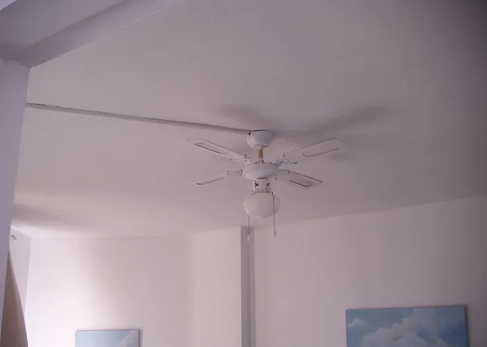 Duquesa De España *