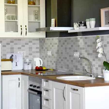 西班牙公爵夫人公寓 托雷莫利诺斯